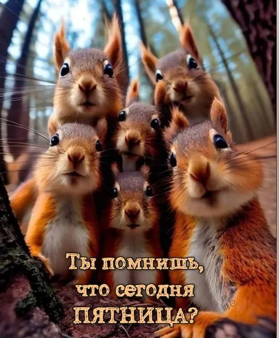 Прикольные и просто красивые картинки