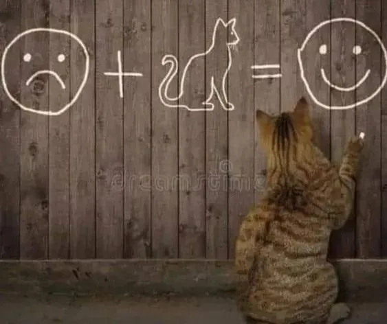 Прикольные и просто красивые картинки