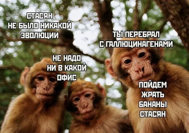 Картинки и мемы