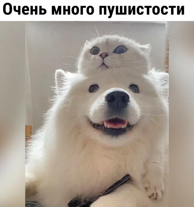 Так себе картинки