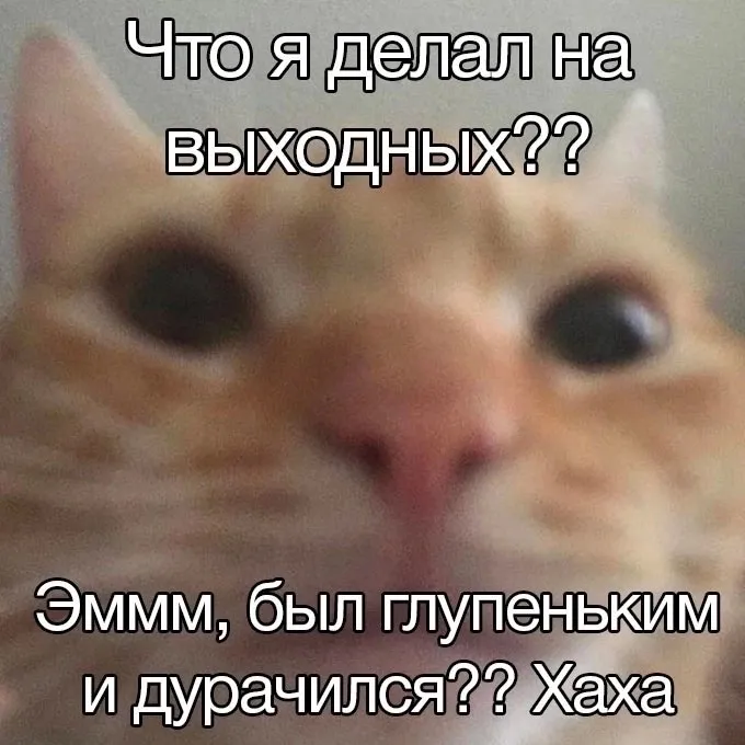 Нестандартный юмор :)