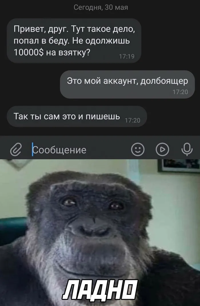 Скрины из соцсетей