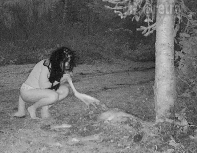 Женщина из Канады сняла двух ведьм, которые ели тушу оленя в ее саду