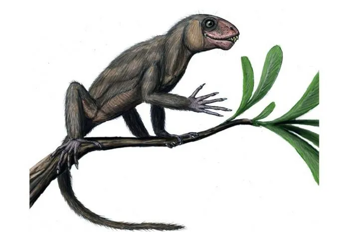 Суминия: Древний «ящер-обезьяна». Вёл жизнь приматов до того, как появились динозавры