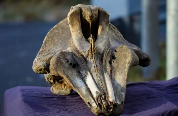 Природа полна загадок⁠⁠