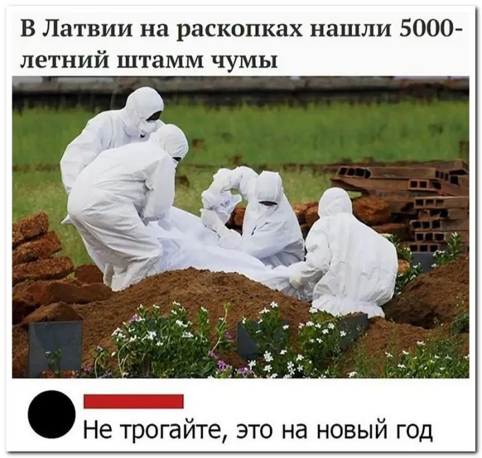 Скрины из соцсетей