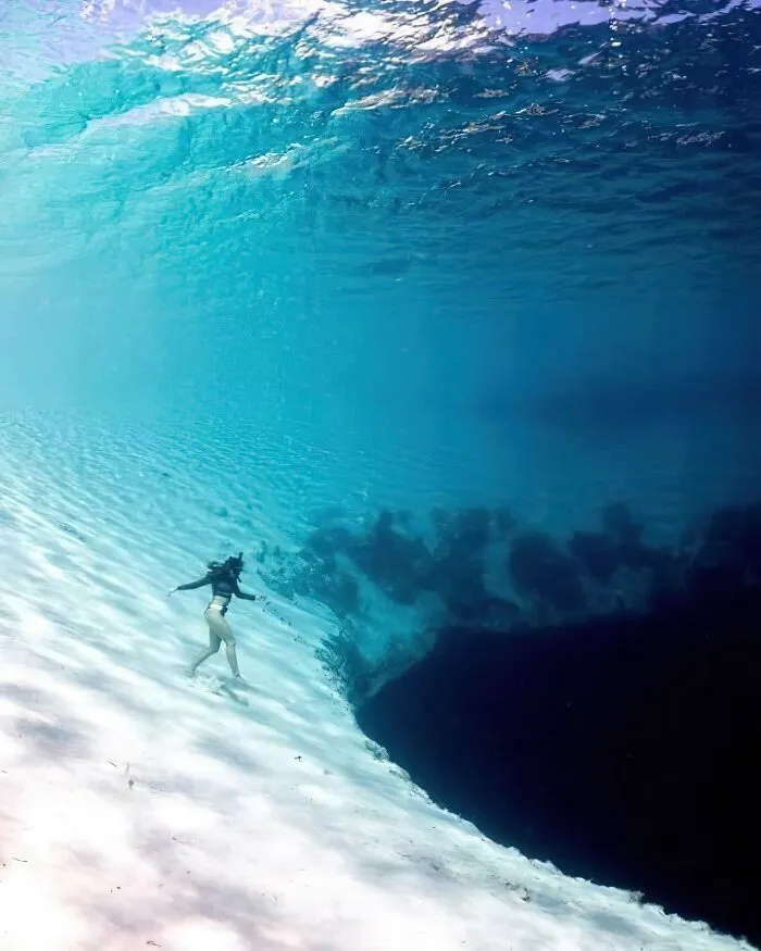 25 снимков, которые могут вызвать желание держаться как можно дальше от морских глубин