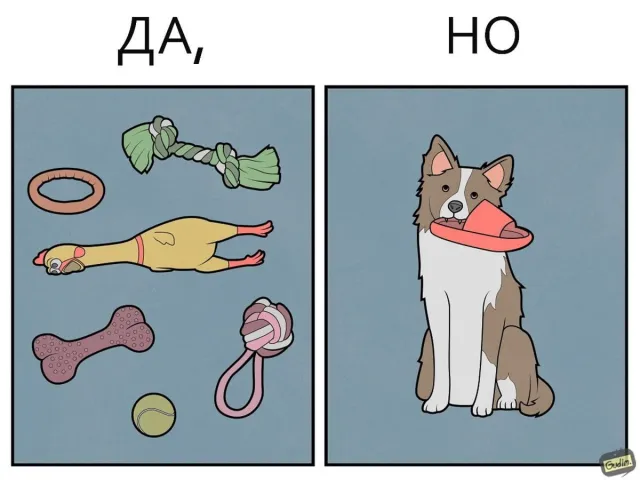 "Да, но...": саркастичные иллюстрации про собак от художника Антона Гудима