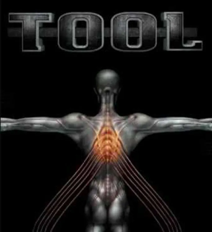 Прикольные и просто красивые картинки