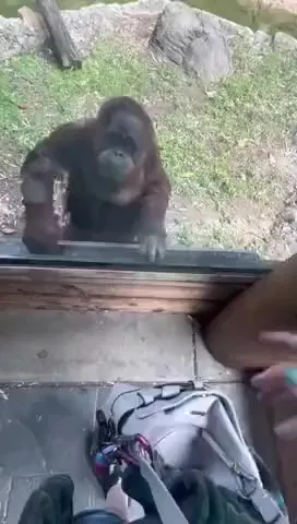 Ну вы и тугодумы, кожаные