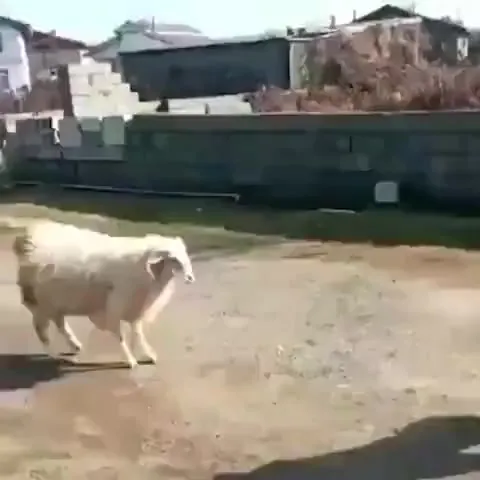 Нашли друг друга