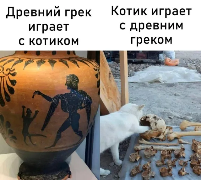 Околонаучная деградация