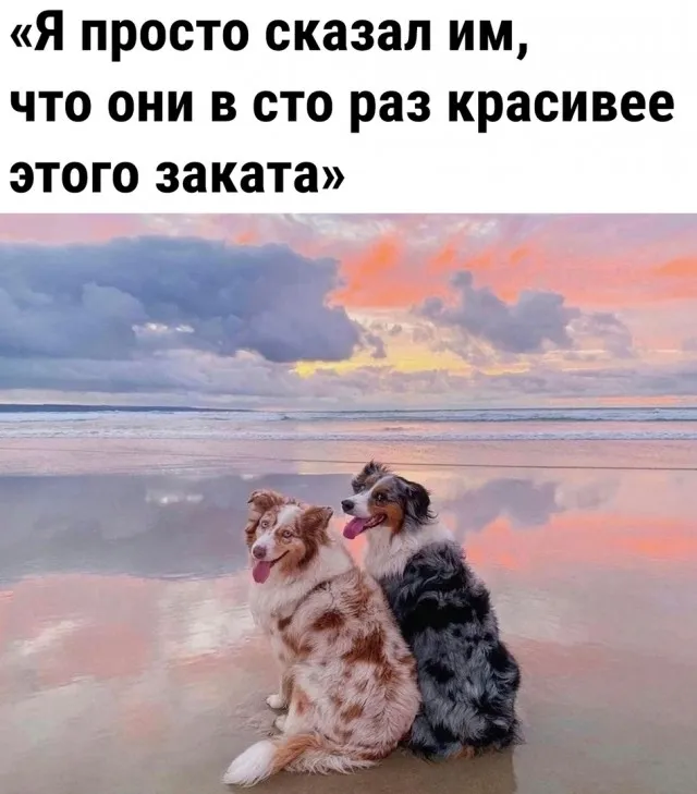 Так себе картинки