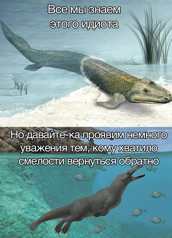 Нестандартный юмор :)