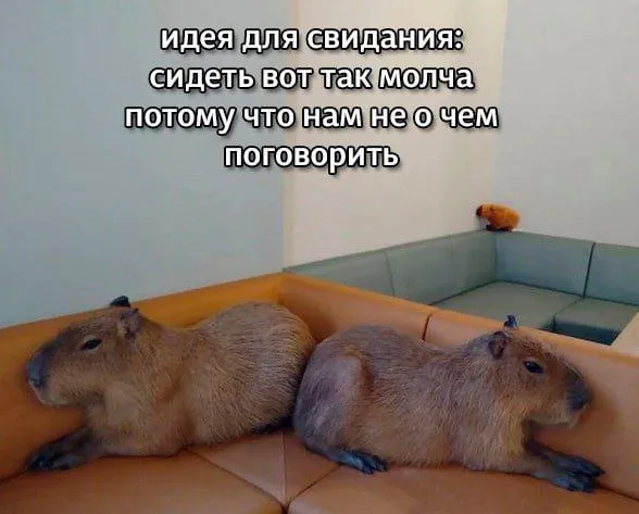 Нестандартный юмор :)