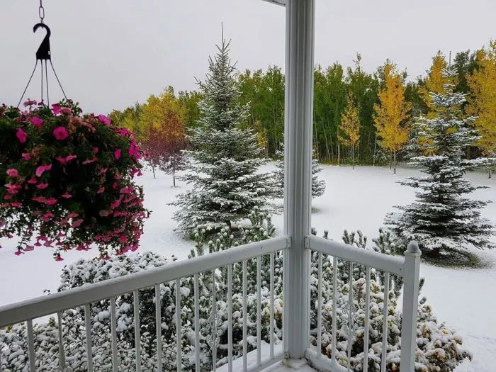 15 чудных ситуаций, которые отлично характеризуют жизнь в Канаде