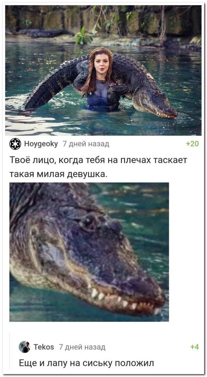 Скрины из соцсетей