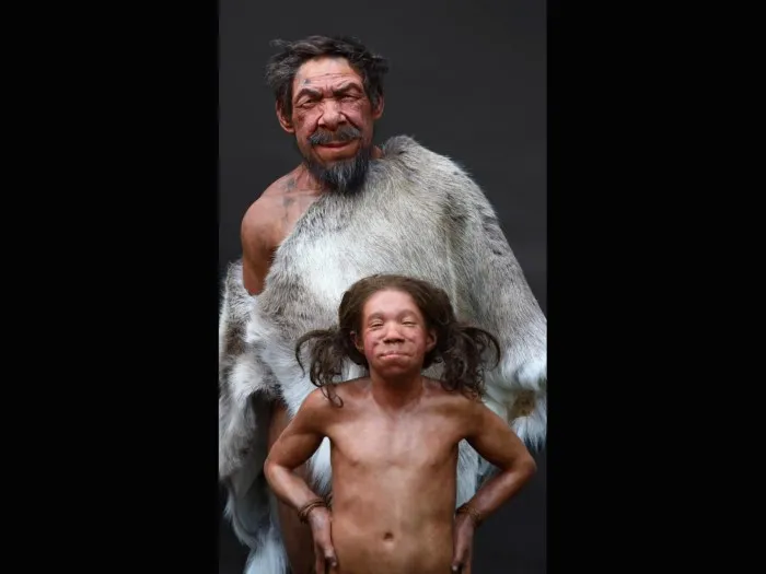 МЫ И НЕАНДЕРТАЛЬЦЫ: люди-обезьяны, всевозможные предрассудки и новый взгляд
