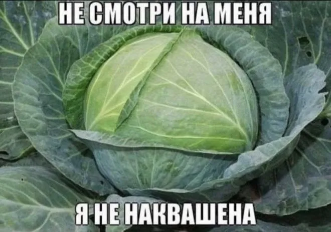 Фотоприколы и прикольные картинки