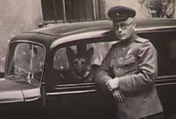 Остап Бендер Красной Армии. Похождения Николая Павленко