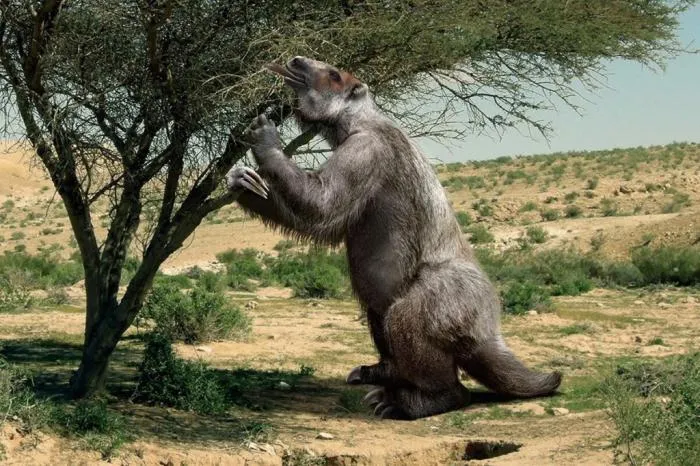 Гиганты шесть метров ростом. Кто жил в огромных древних пещерах в Бразилии