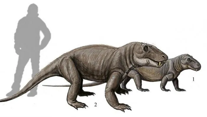 Титанофоней: Древний монстр из Татарстана. Доисторический хищник размером с бегемота охотился как крокодил