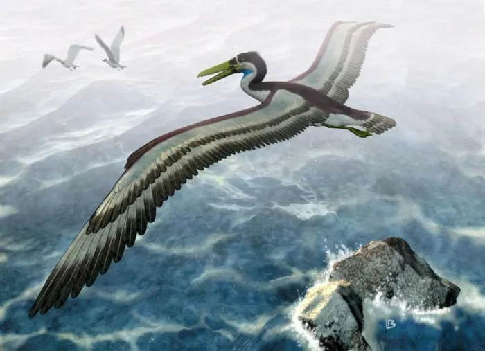 Пелагорнис: Птица размером с маленький самолёт. Он летал между континентами, а размах его крыльев достигал 7 метров!