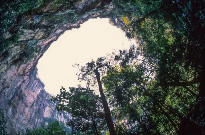 Группа китайских ученых обнаружила гигантскую карстовую воронку, на дне которой растет лес