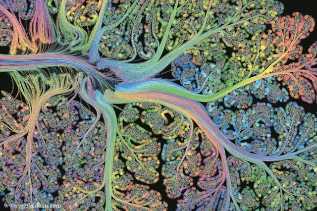 "Шевели извилинами": красивая визуализация процессов, которые происходят в нашем мозге каждый день