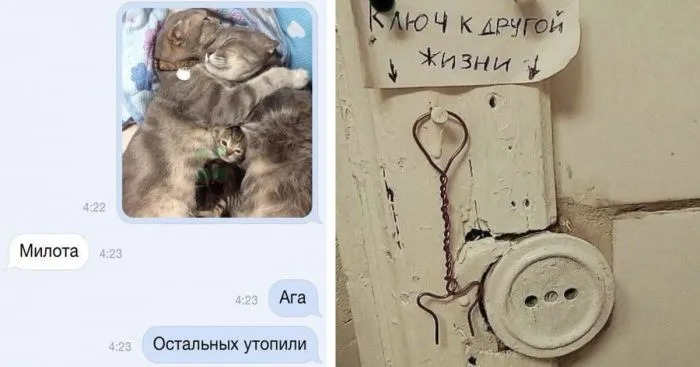 Чёрный, жестокий, специфичный: юмор, который оценят далеко не все