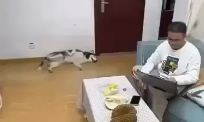 Нюхнул дуриана немного⁠⁠