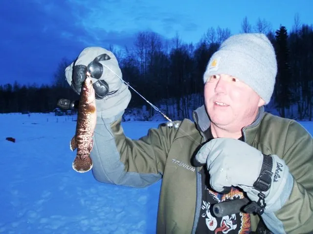 Даллия: Неубиваемая сестра щуки с Чукотки. Жара, холод, заморозка, токсины — ей всё фиолетово. Легендарная выносливость