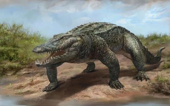 Квинкана: Австралия была ещё ужасней. Первые люди застали 7-метрового сухопутного крокодила с зубами как у динозавра