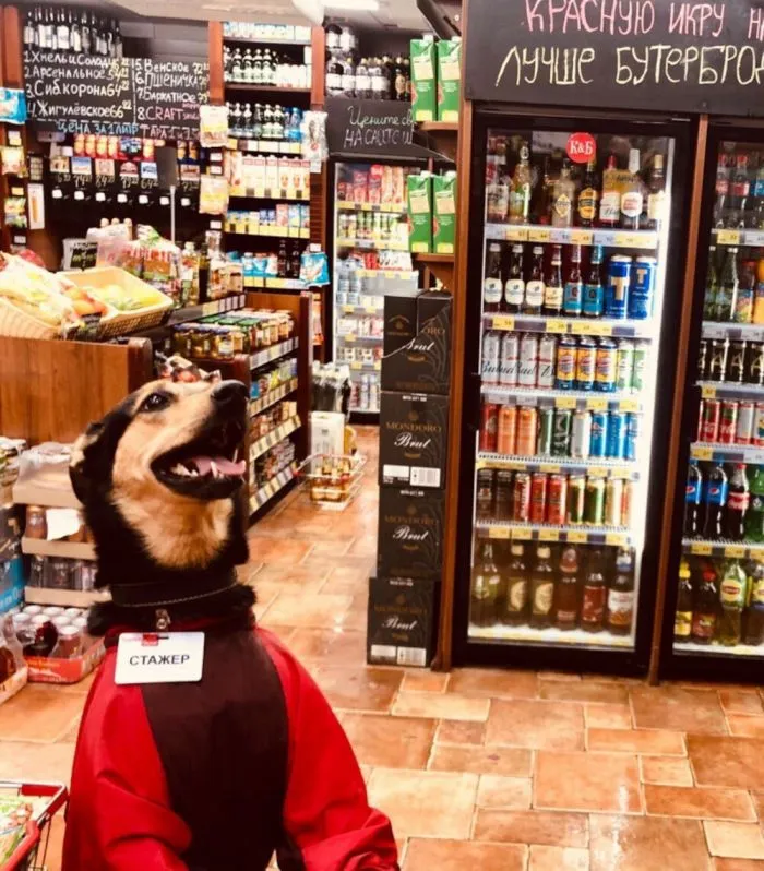 Стажировка — новый синоним рабства