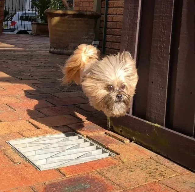 15 фотопримеров того, что с гравитацией можно поспорить - и в итоге проиграть