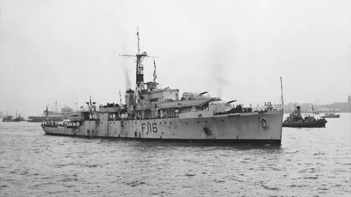 Кот, награждённый медалью