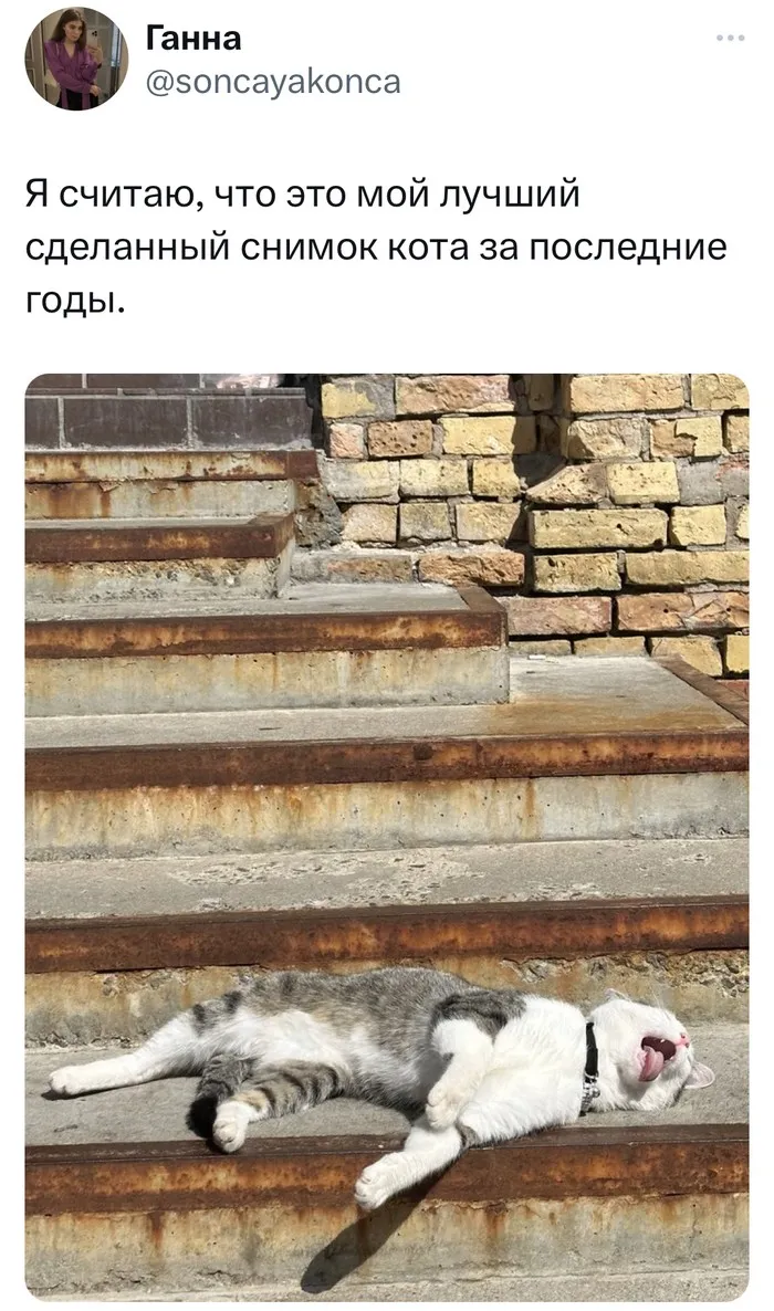 Скрины из соцсетей