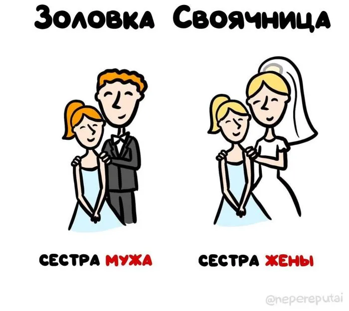 Пояснительная бригада: 16 картинок с разъяснения всего на свете