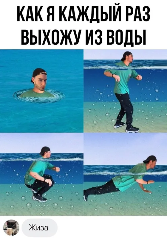 Фотоприколы и прикольные картинки