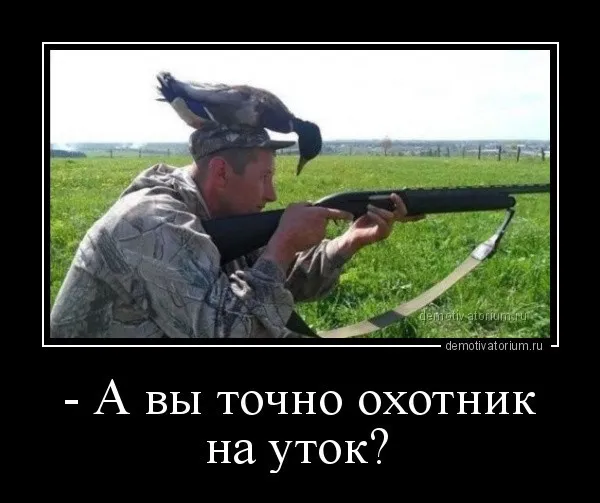 Демотиваторы