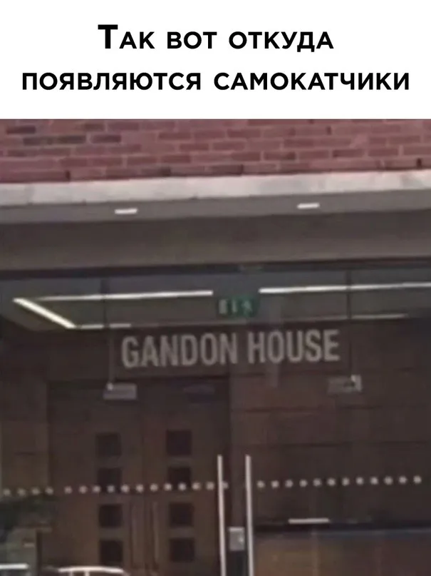 Фотоприколы и прикольные картинки