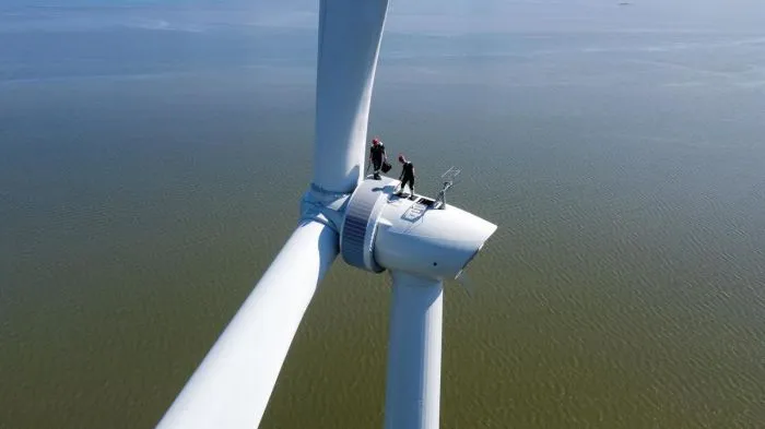 Фотоподборка