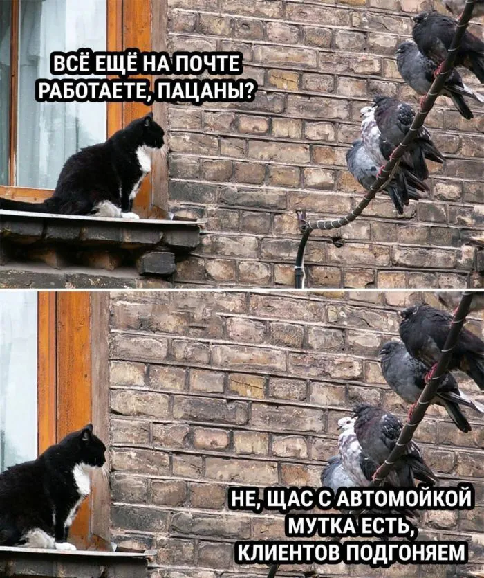 Случилось на автомойке. Пост странных совпадений