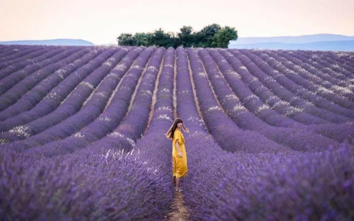 На общую тему