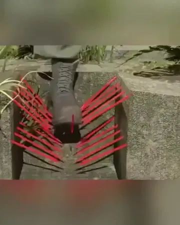 Некоторые ловушки использованные во время Вьетнамской войны
