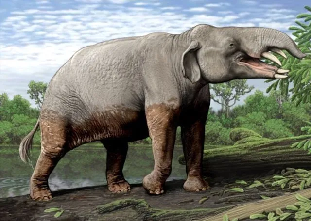 Фиомия: Ранний «слон». Маленький хобот, бивни-клыки и лопата на нижней челюсти. Что о нём известно?