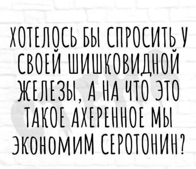 Баяны