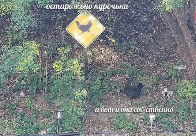 Так себе картинки