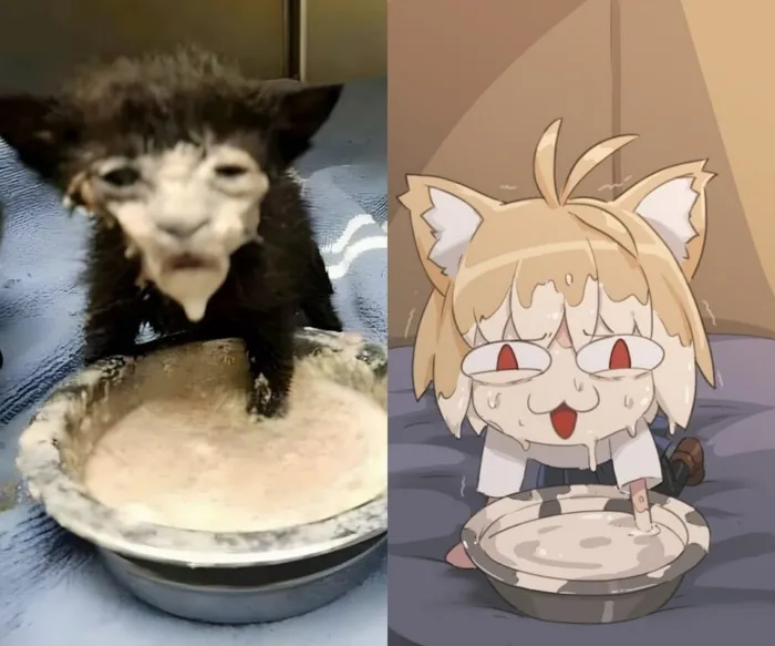 Анимешные мемы