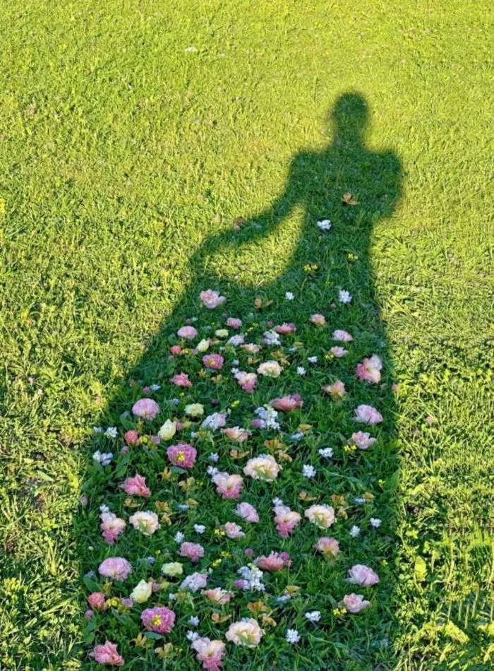 На общую тему